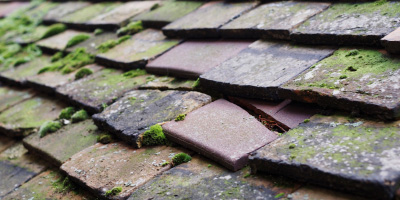 Cholesbury roof repair costs